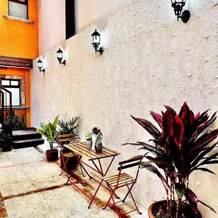 Casa Olivo Apartment Mexico City Exterior photo