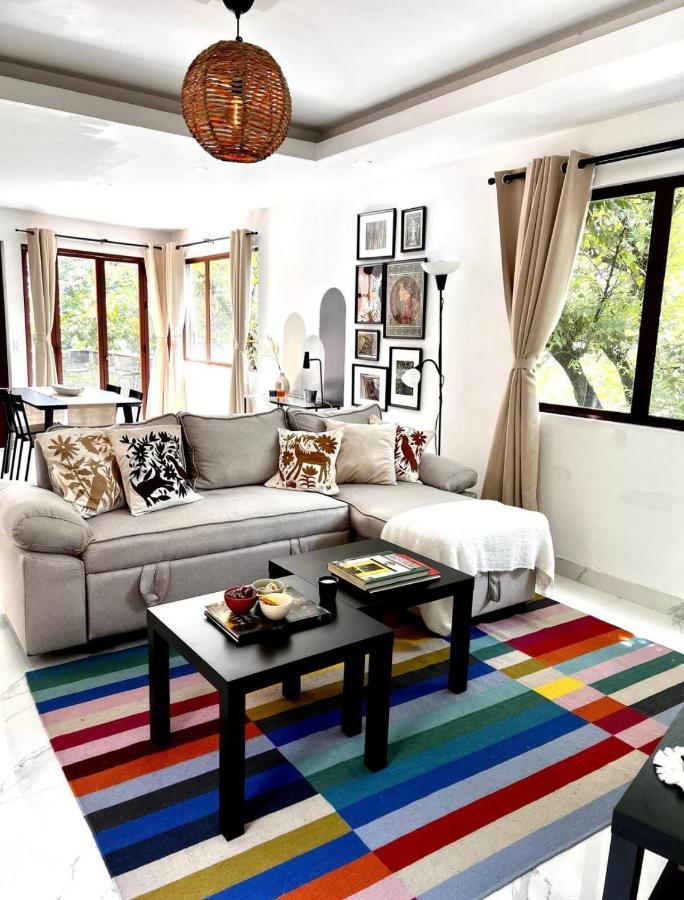 Casa Olivo Apartment Mexico City