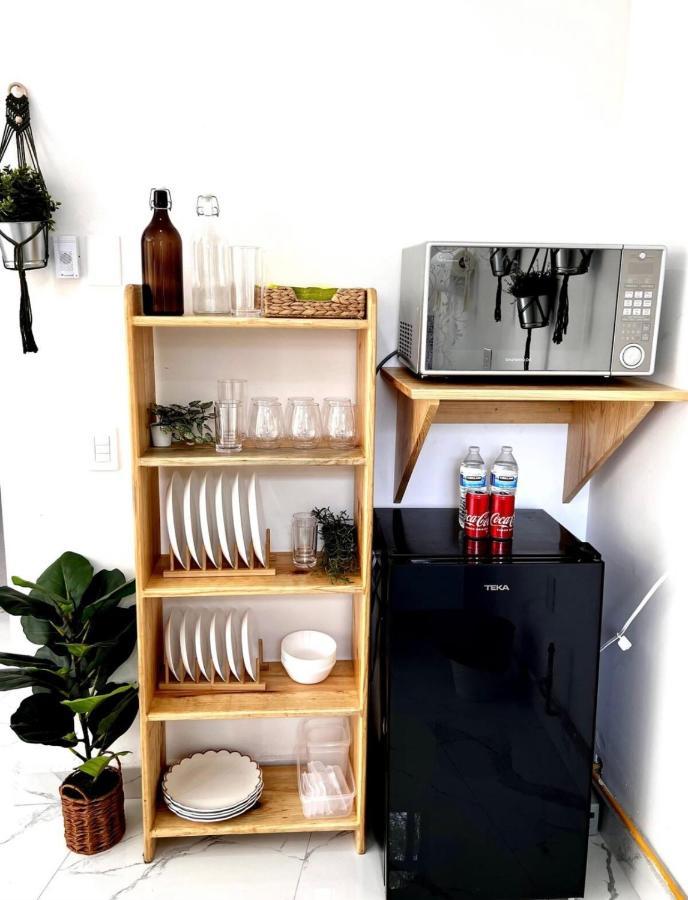 Casa Olivo Apartment Mexico City